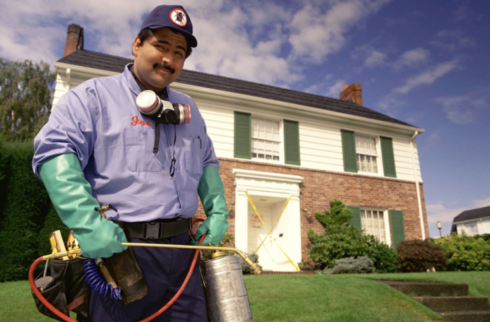 Bug Master Termite & Pest Control Rodents Bee Control Altus, OK