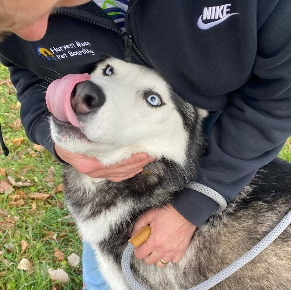 Harvest Moon Pet Boarding Photo Gallery Boonsboro, MD