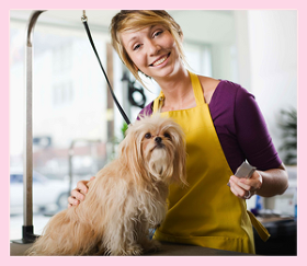 most aggressive breeds