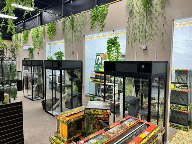 Reptile Merchandise | Virginia Beach, VA