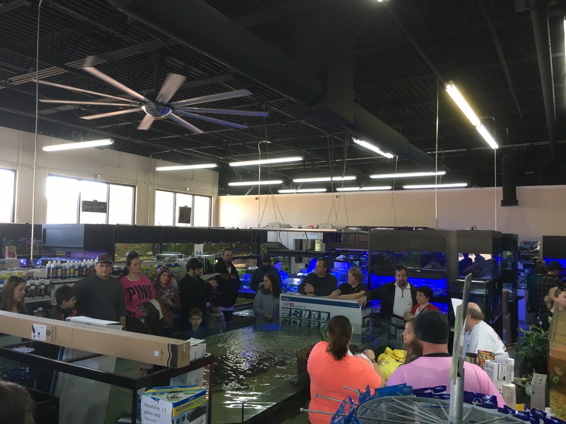 Gallery Aquariums Unlimited LLC