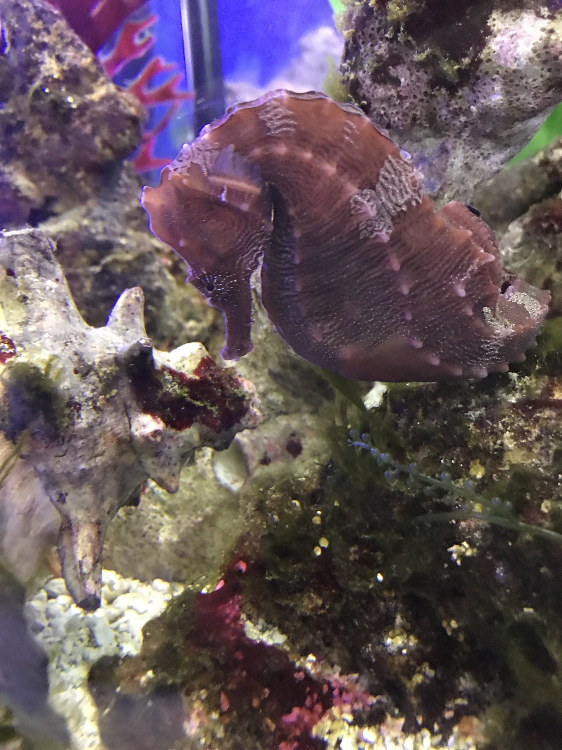 Gallery Aquariums Unlimited LLC