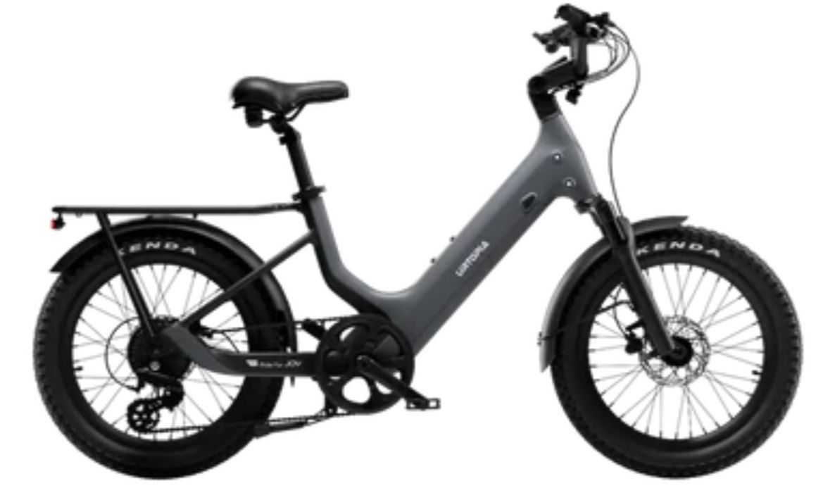 Black electric cargo bike with fat tires and rear rack, shown in side view on a white background
