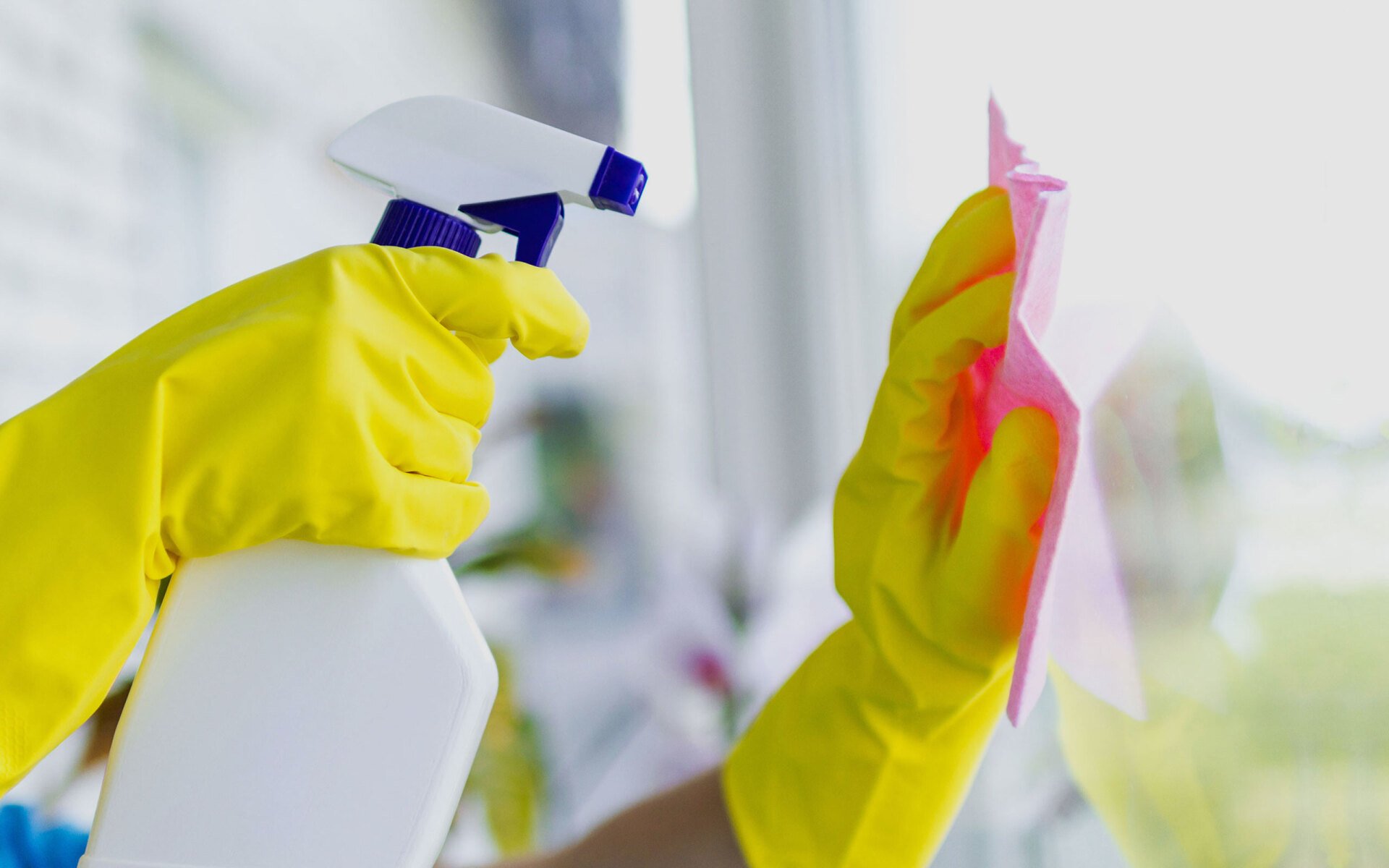 D.O.L.L.S. Cleaning Carpet Cleaning Chesterfield, MI