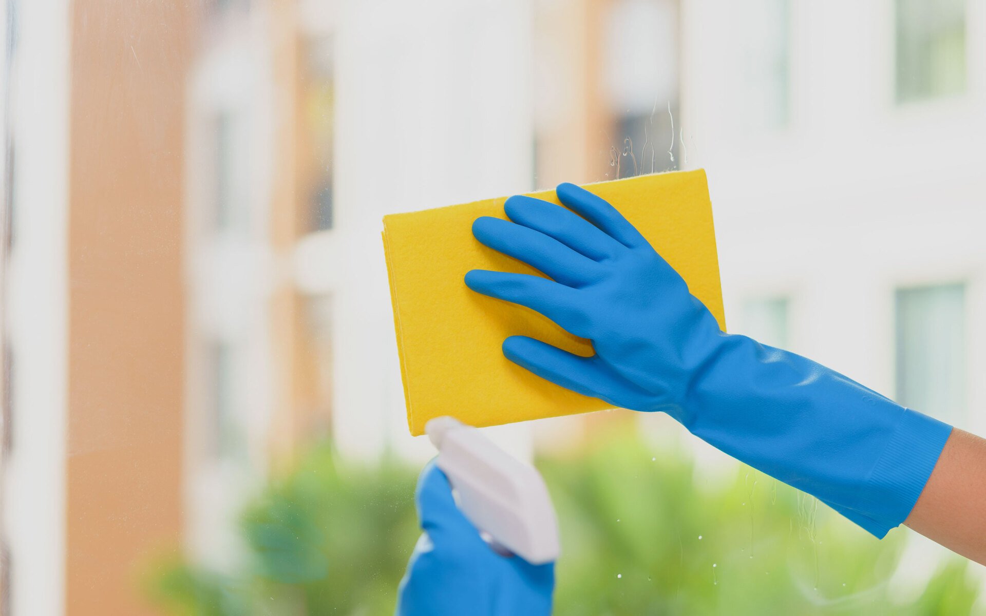 D.O.L.L.S. Cleaning Carpet Cleaning Chesterfield, MI