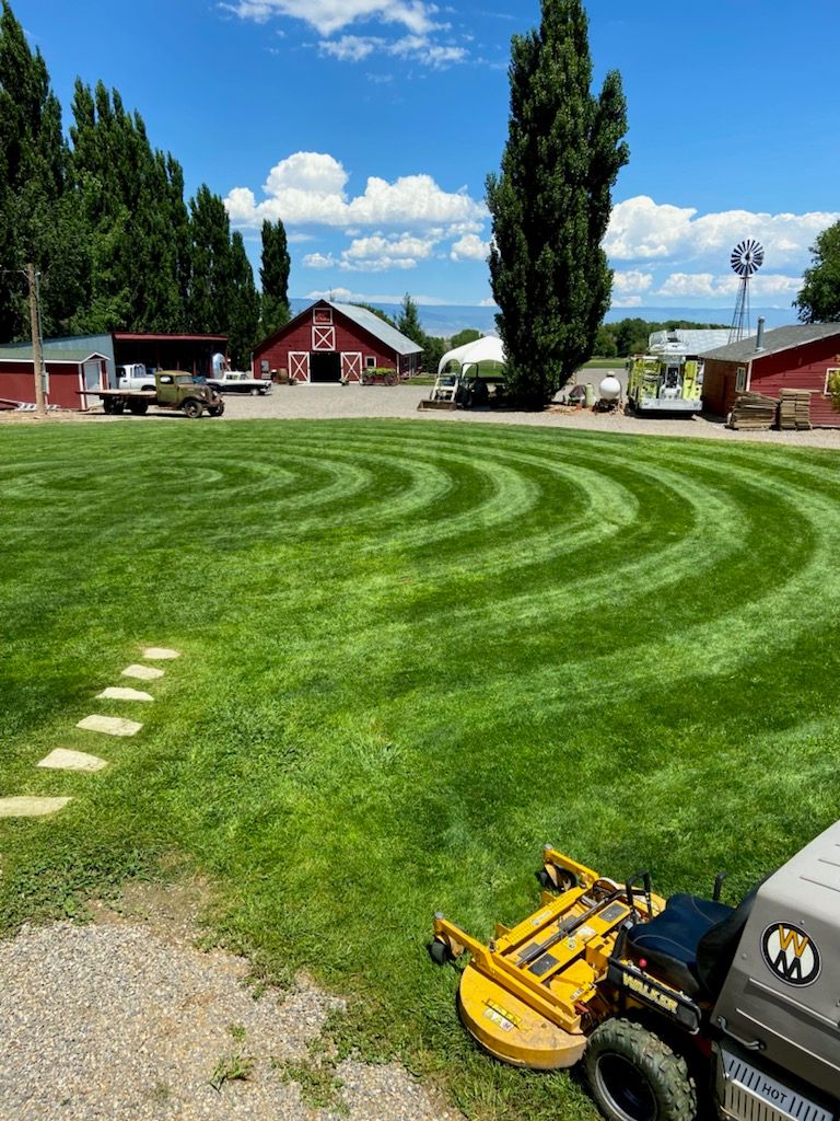 Landscaping Contractors Montrose, CO