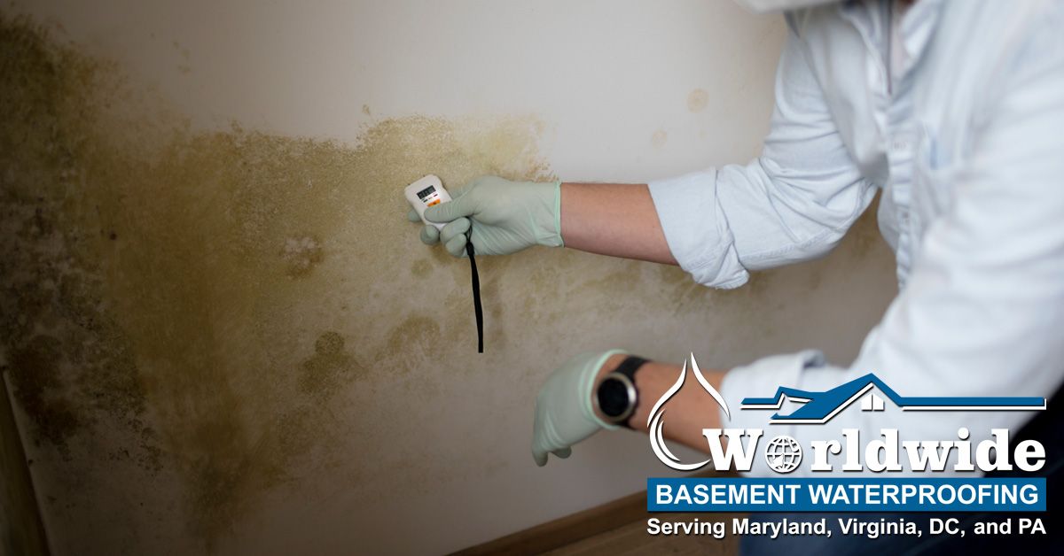 Why is Your Basement Humid?