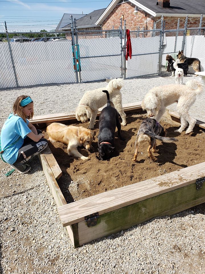 Oxford Kennel Gallery Trenton, OH