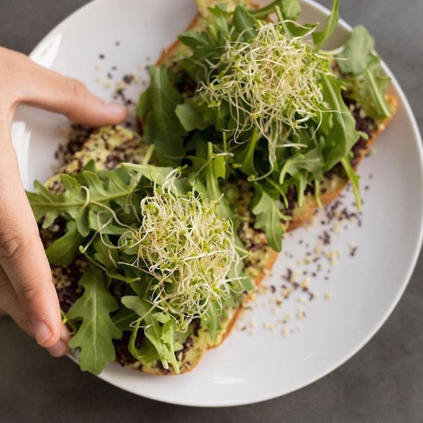 Juice and Smoothie Bars Coral Springs, FL Juicery RX