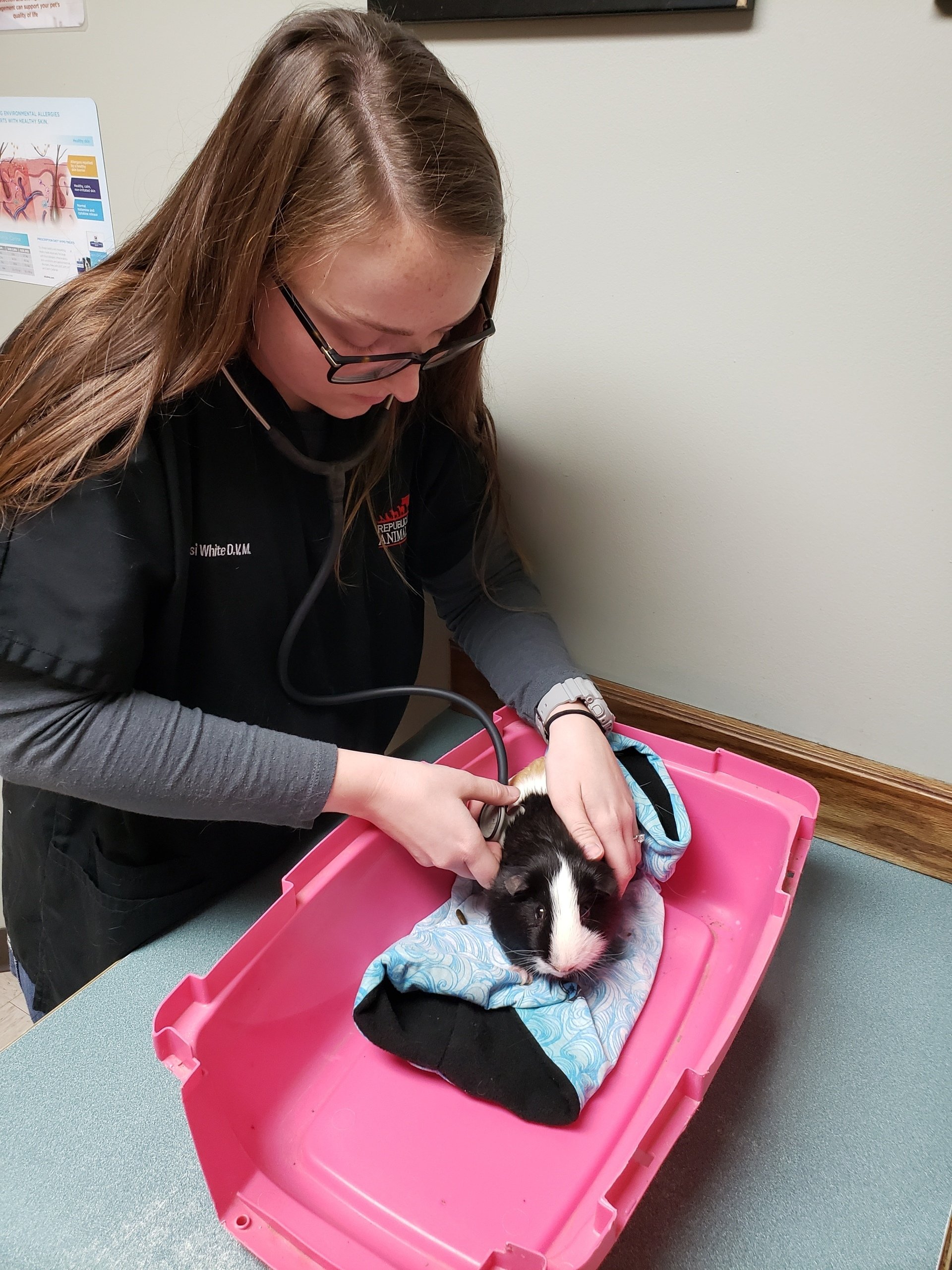 Small Animal Vet Care Alma, NE