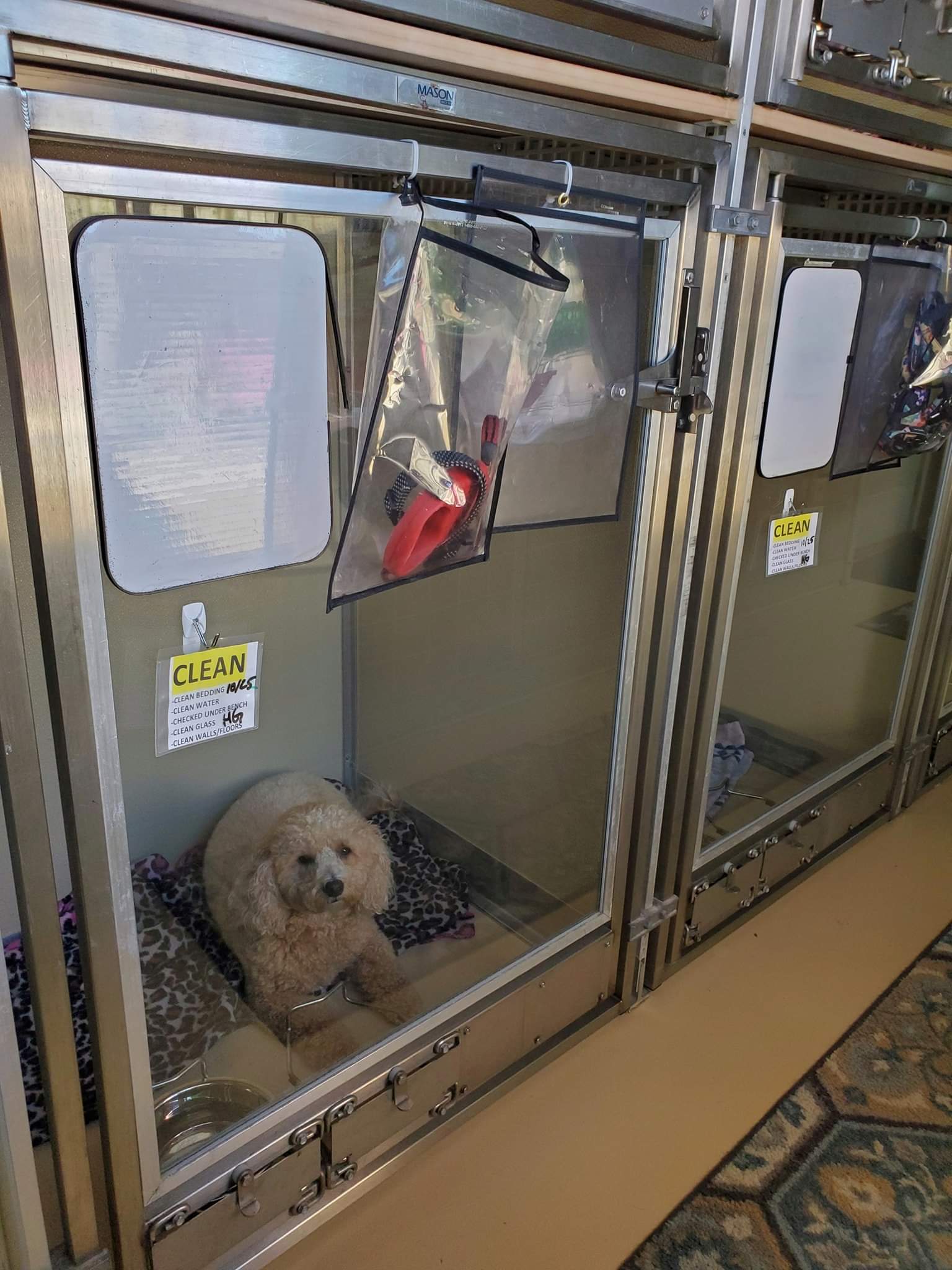 Pet Boarding Pet Care Technicians Fort Wayne, IN