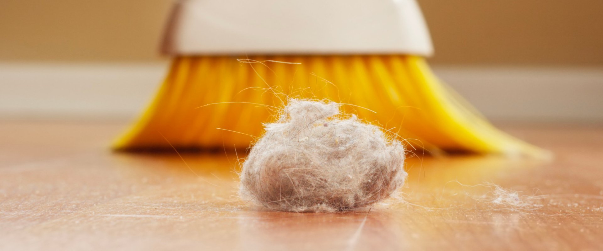 A Touch of Dust Cleaning Service Inc Cleaners Peru IN