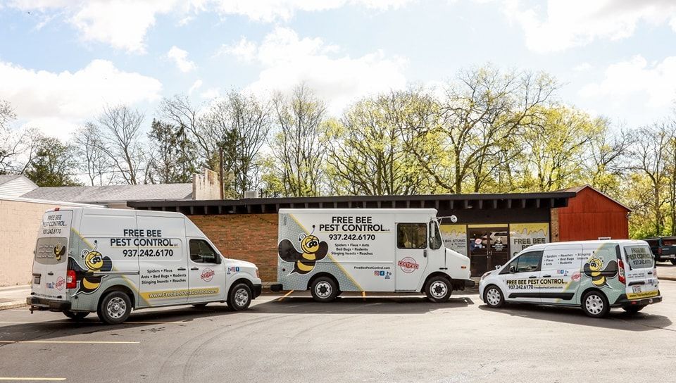 Contact Free Bee Pest Control LLC Best Pest Control Union, OH