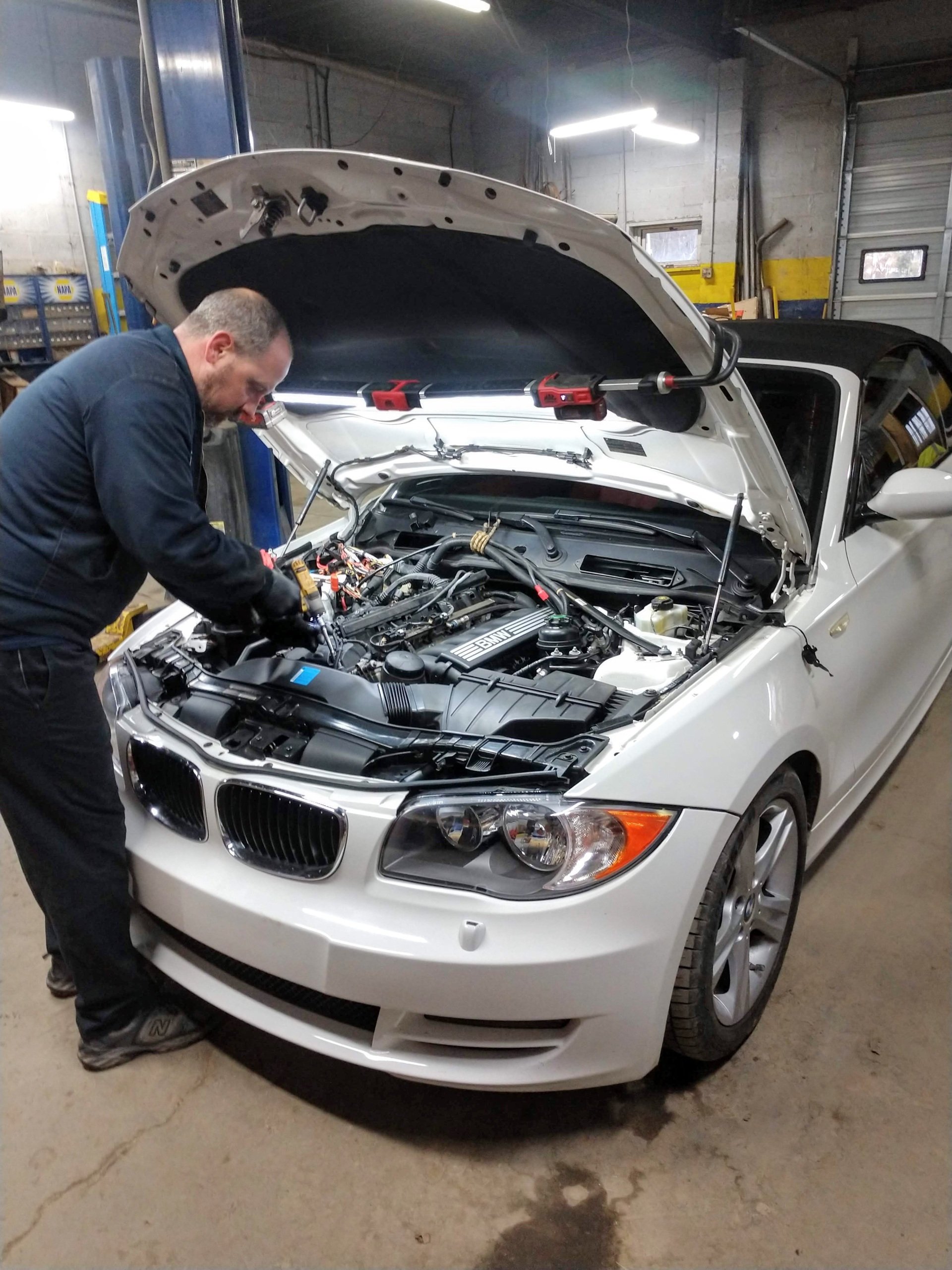 Why do my brakes squeal