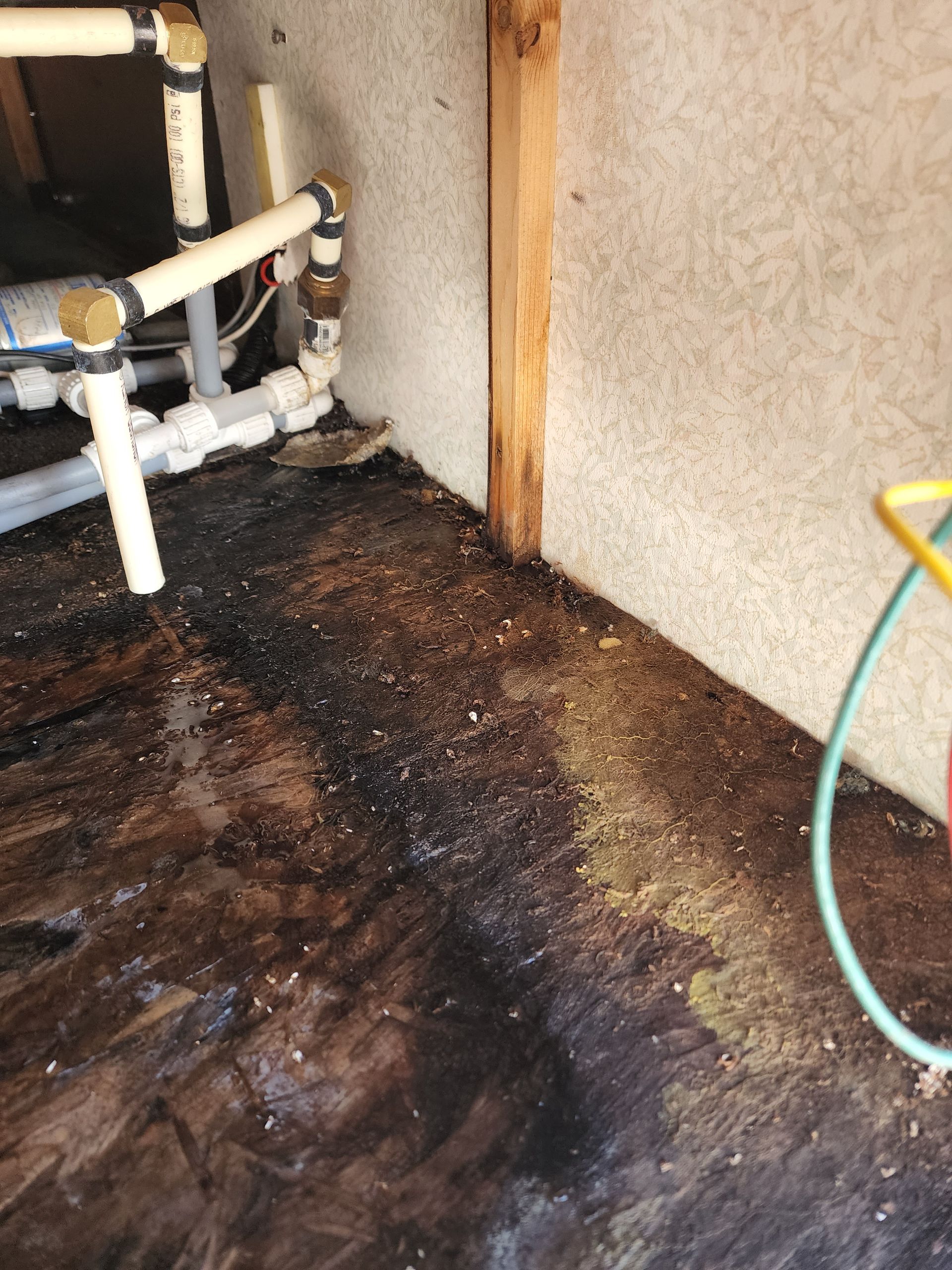 Dark, damaged RV floor near plumbing. Water damage and mold present.