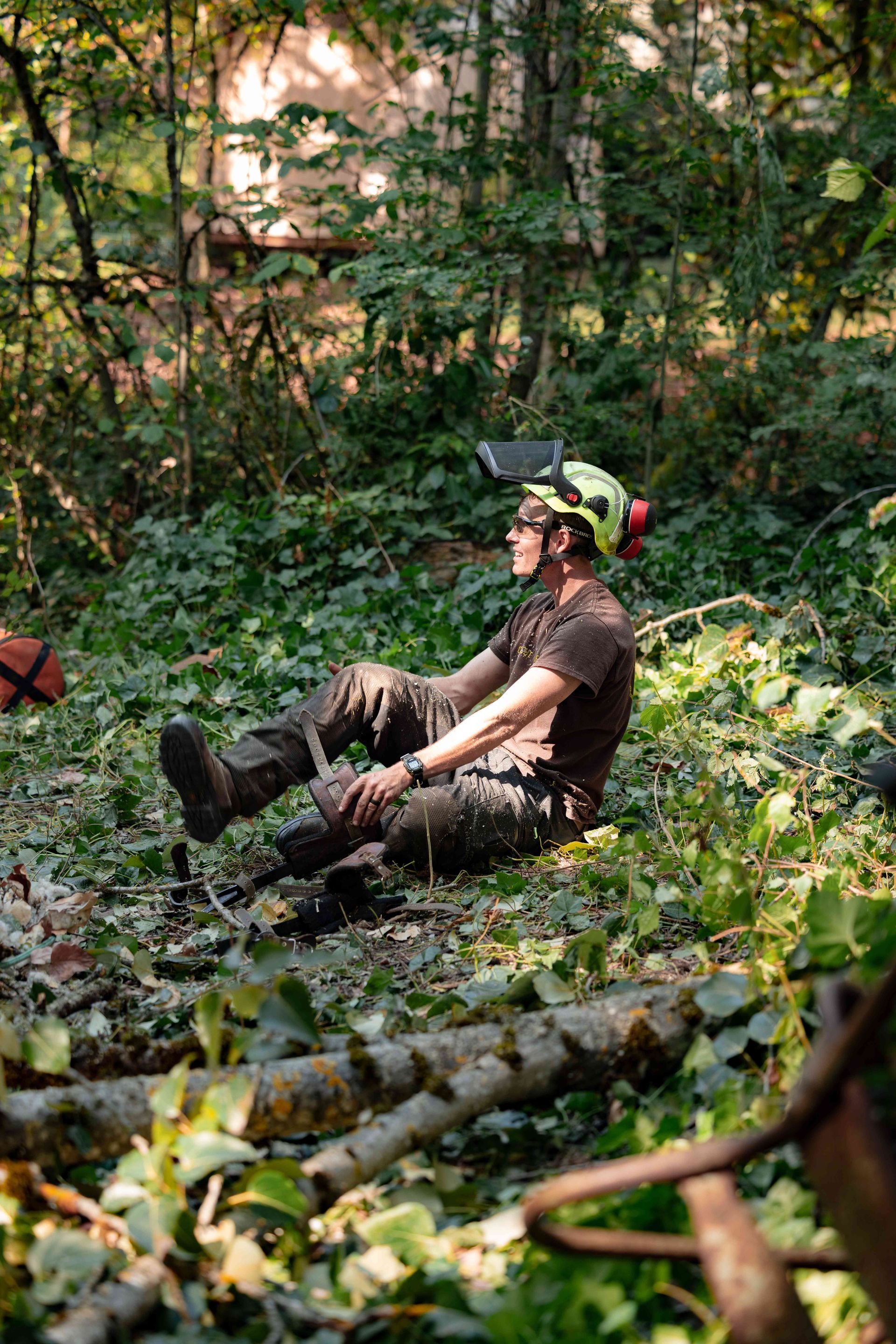 Gallery | Clean Cut Tree Service
