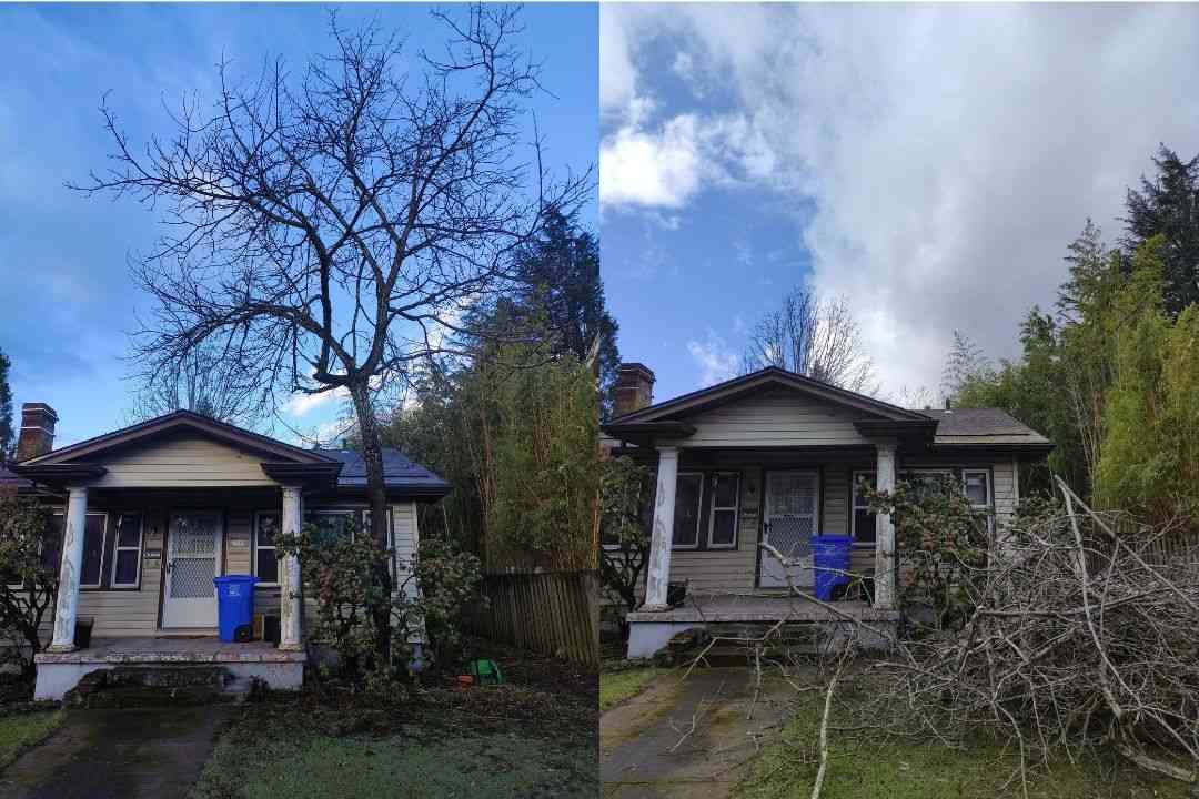 Gallery | Clean Cut Tree Service