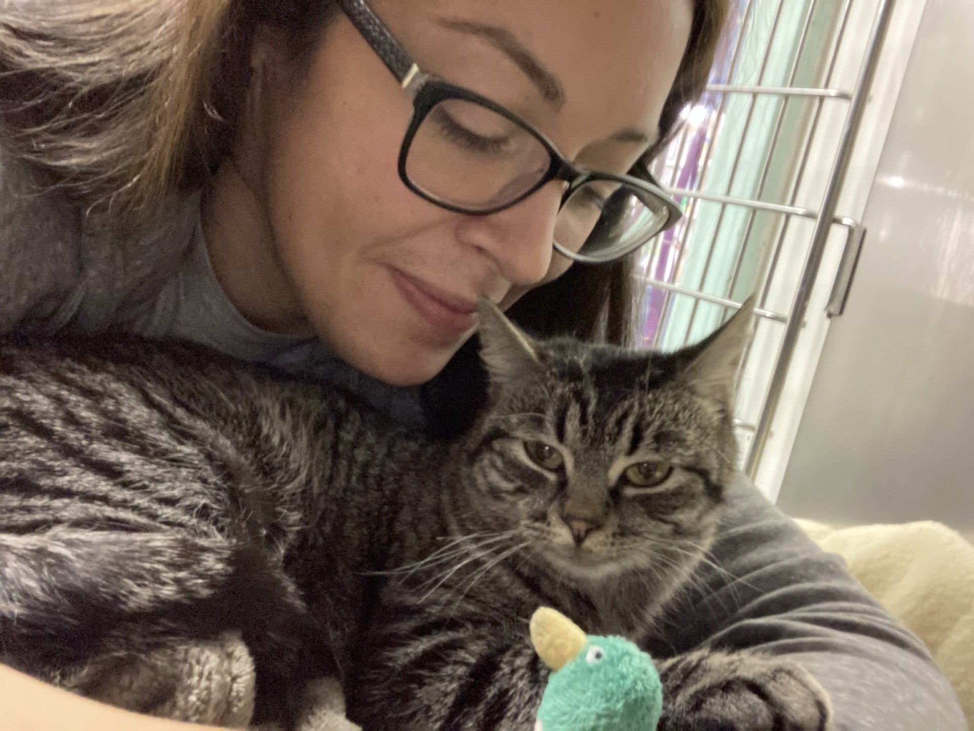 Amboy Avenue Animal Hospital Pet Care Metuchen, NJ