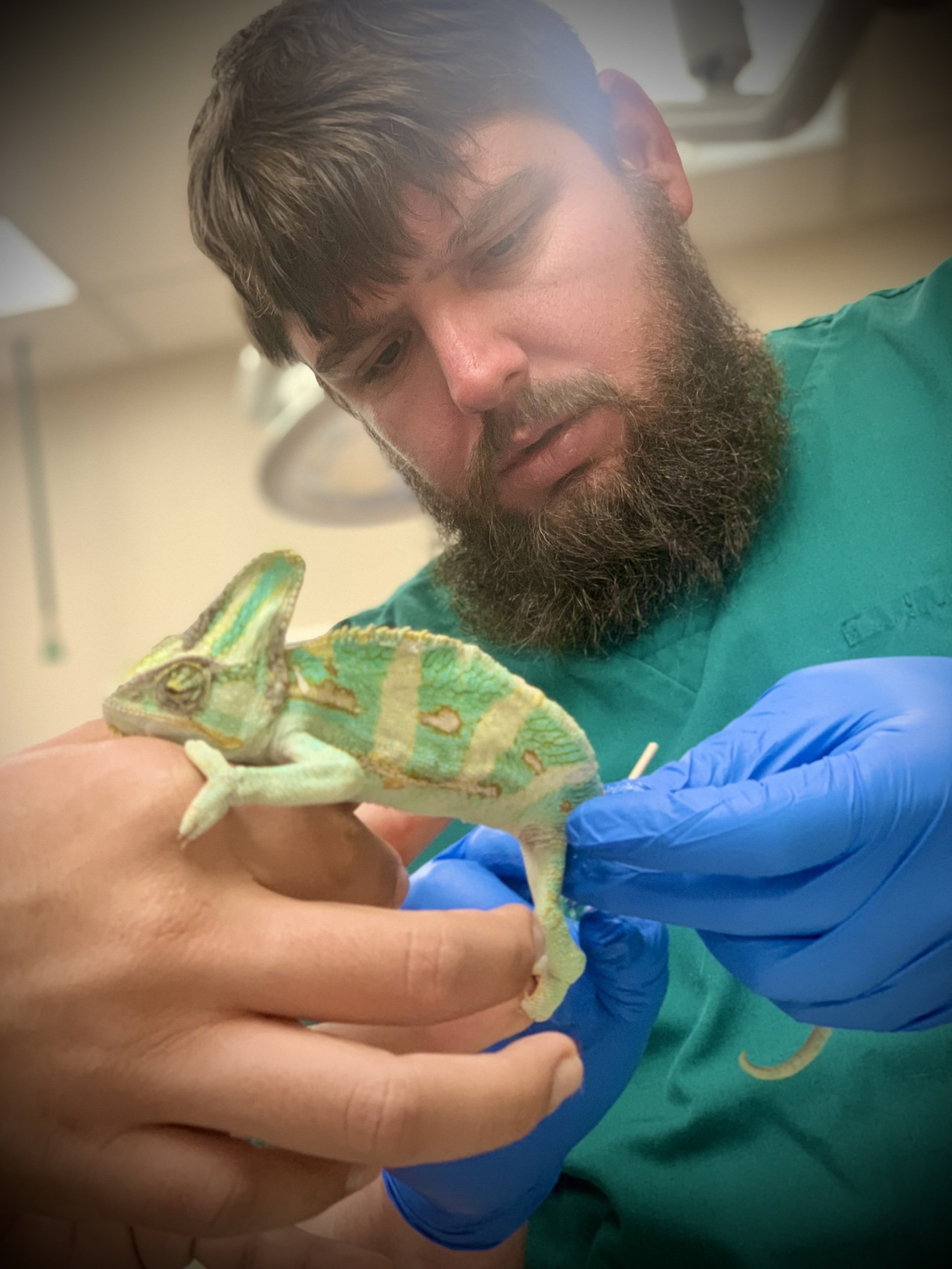 Haley Veterinary Practice, LLC Exotic Pet Vet Lebanon TN