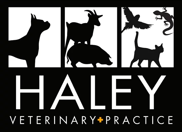 Haley Veterinary Practice, LLC Exotic Pet Vet Lebanon TN