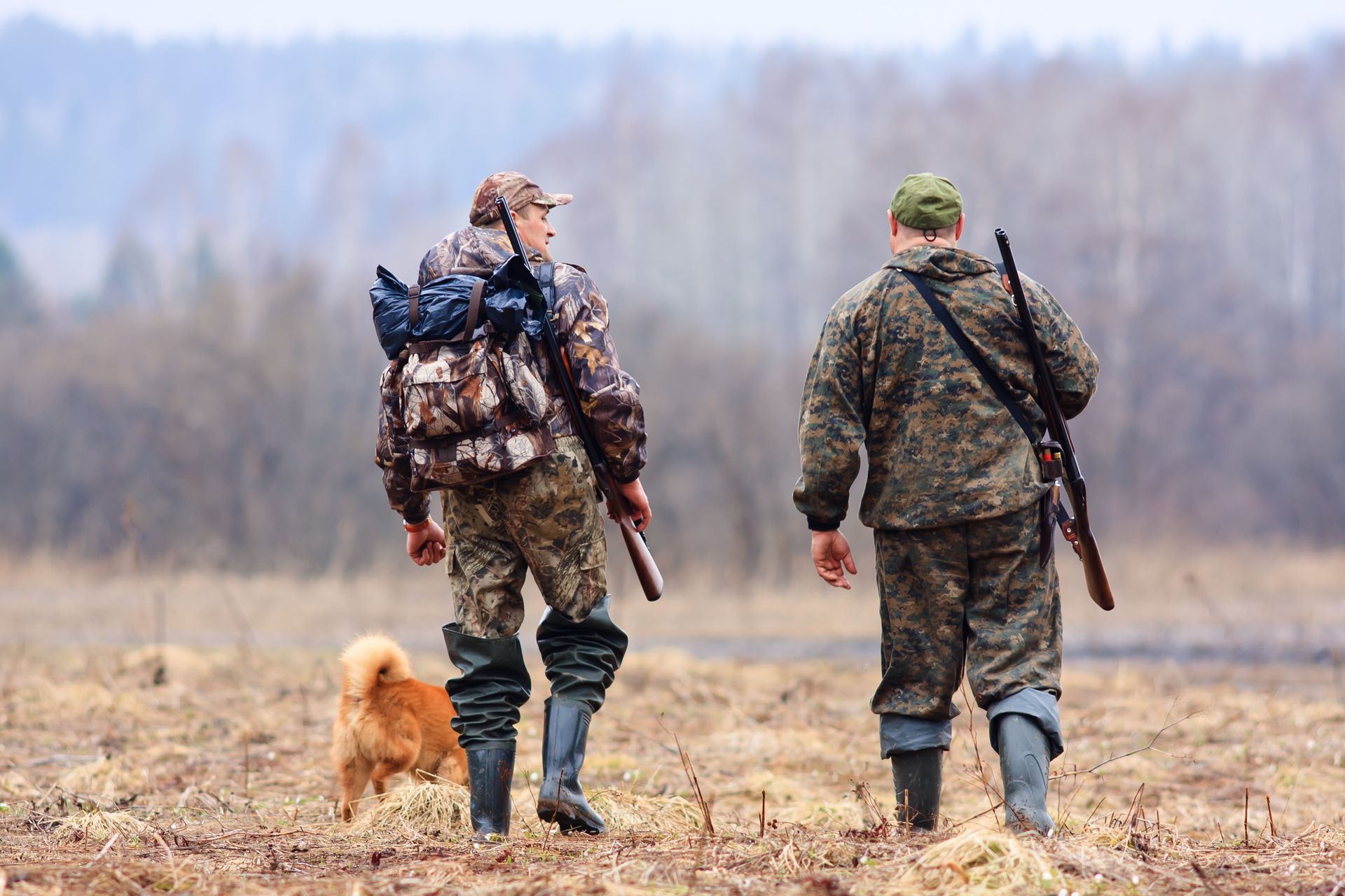 Two hunters and a dog are walking through a field.