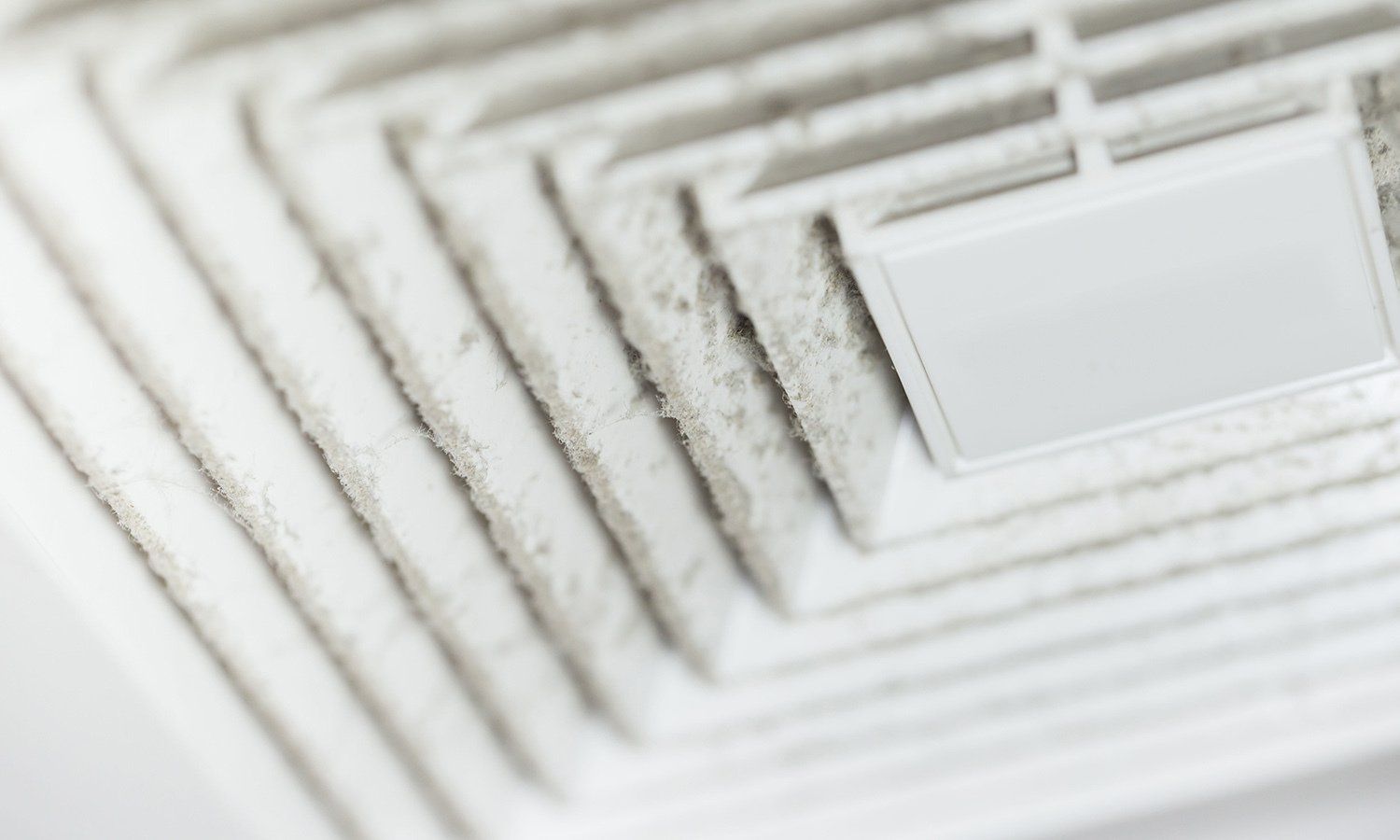 Cleanup Services Harris Cleaning Service Inc Waterloo IA