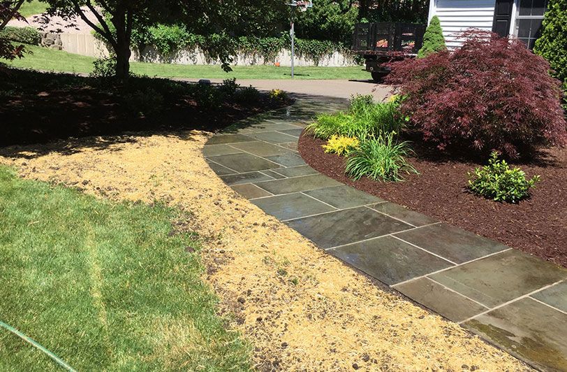 Tree Services Paulo Landscaping & Tree Removal, LLC. Orange, CT