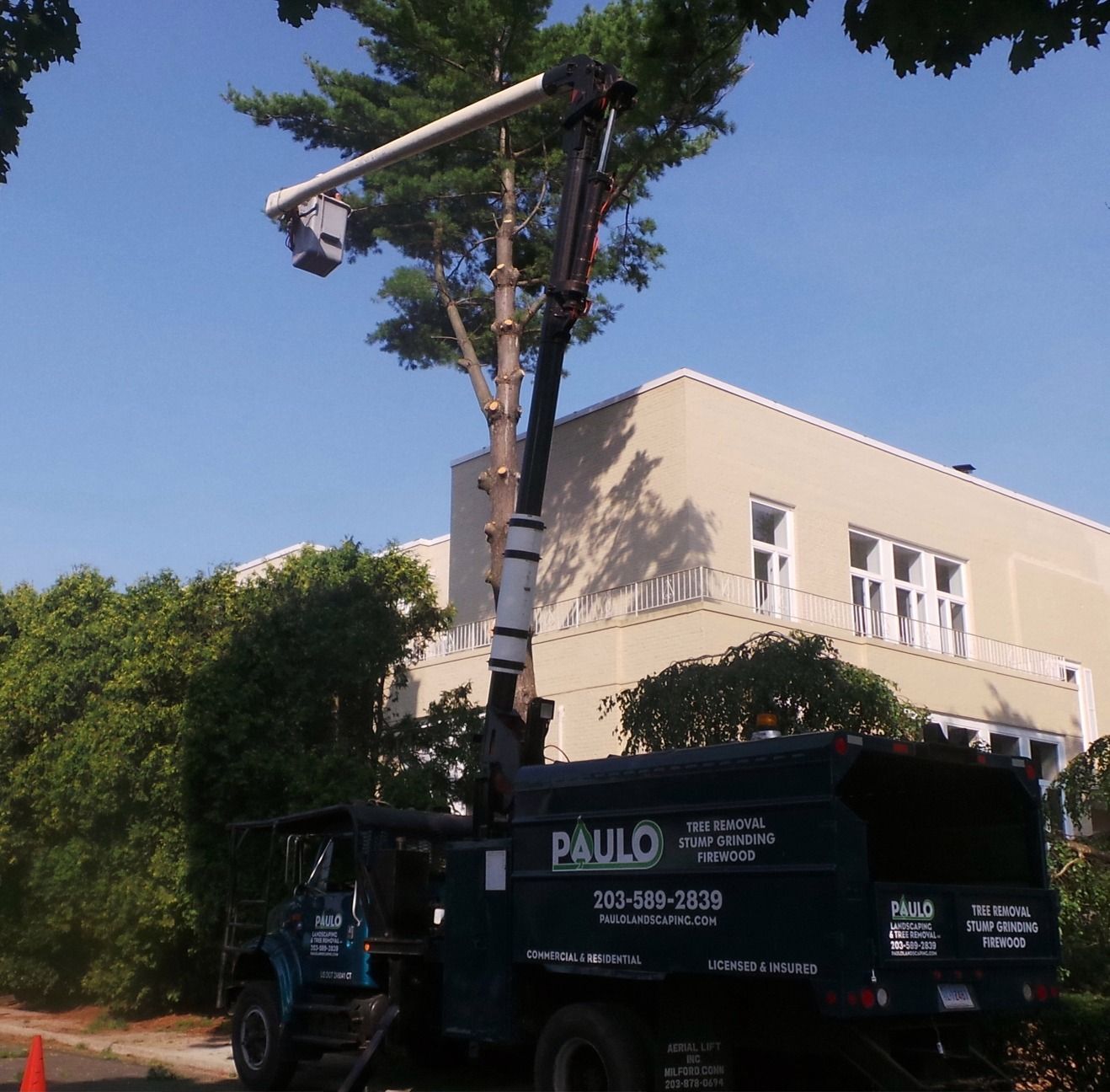 Project Gallery Paulo Landscaping & Tree Removal, LLC.