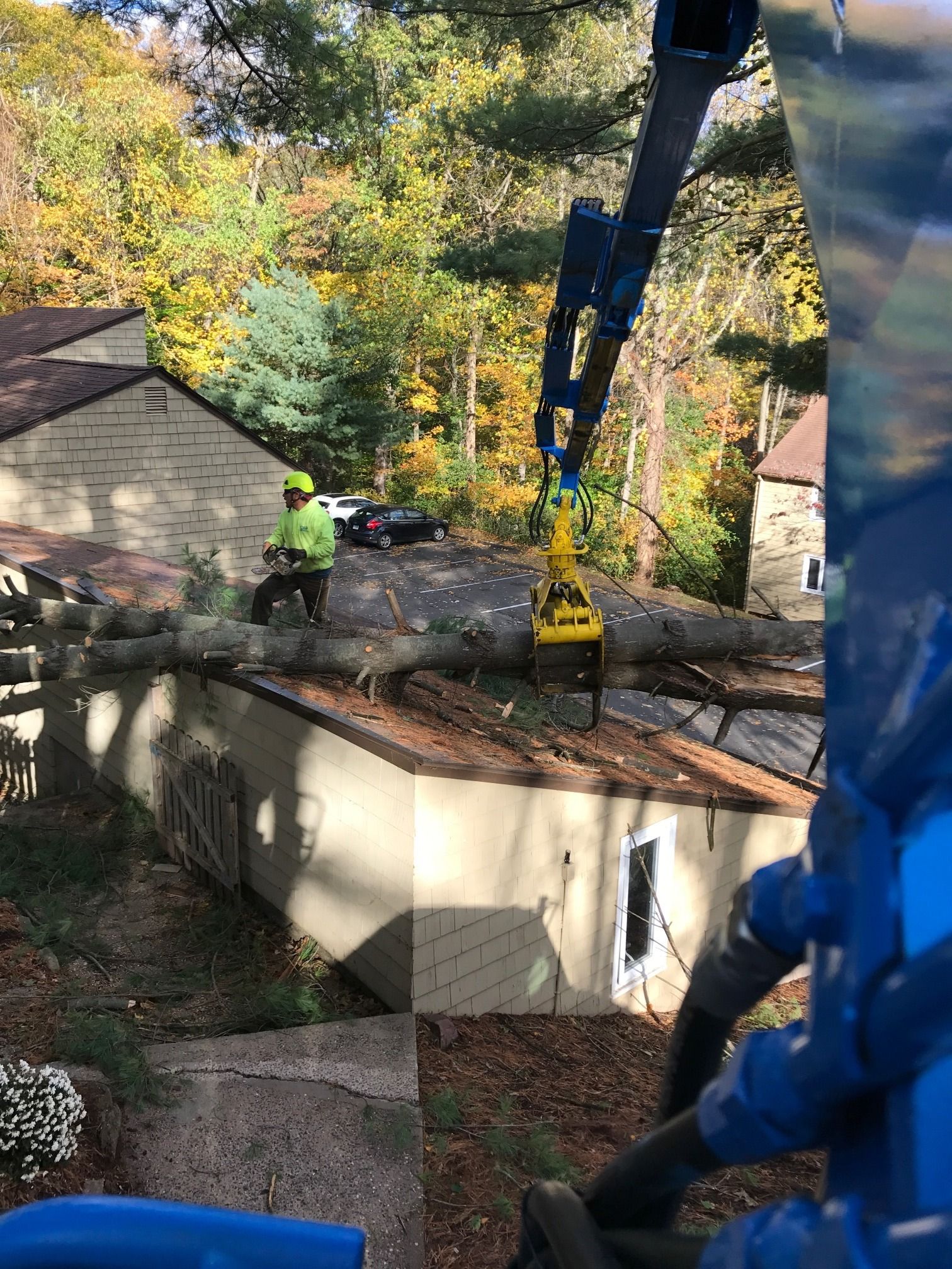 Tree Services Paulo Landscaping & Tree Removal, LLC. Orange, CT