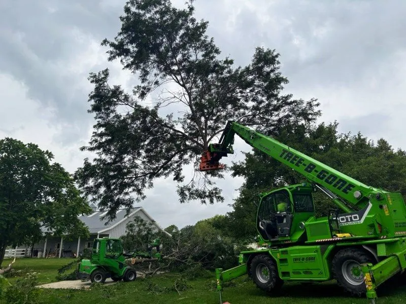 Emergency Tree Removal Green Bay Wi Photo Inspiration