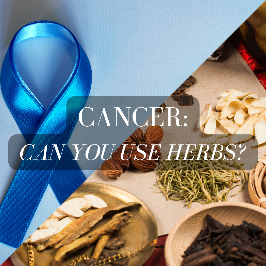 Cancer Can you use herbs in cancer treatment?