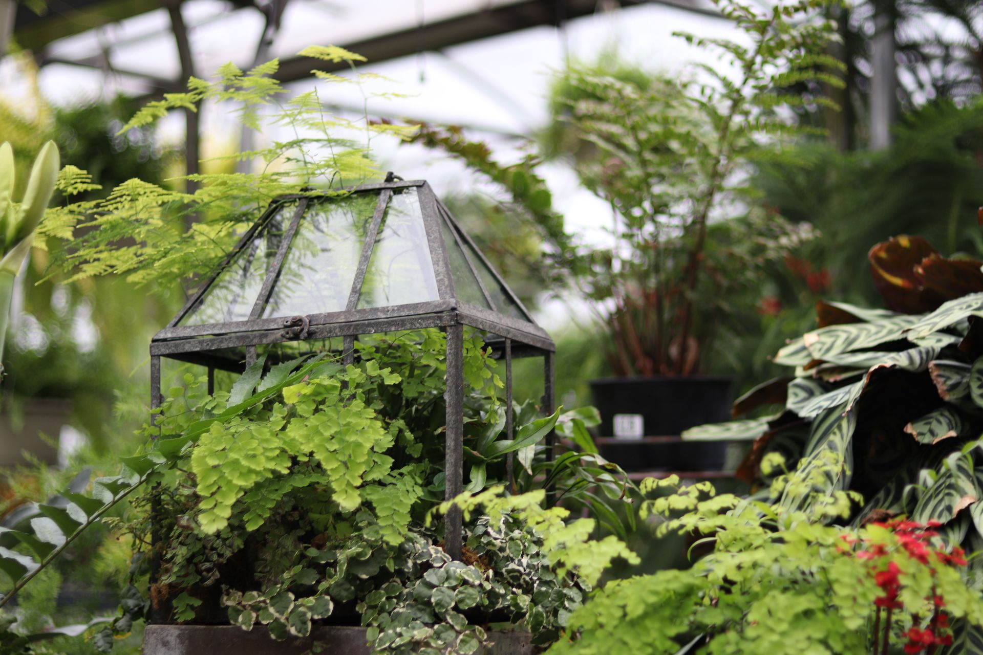 Garden Center Spring Farm Greenhouse Martinsburg, PA