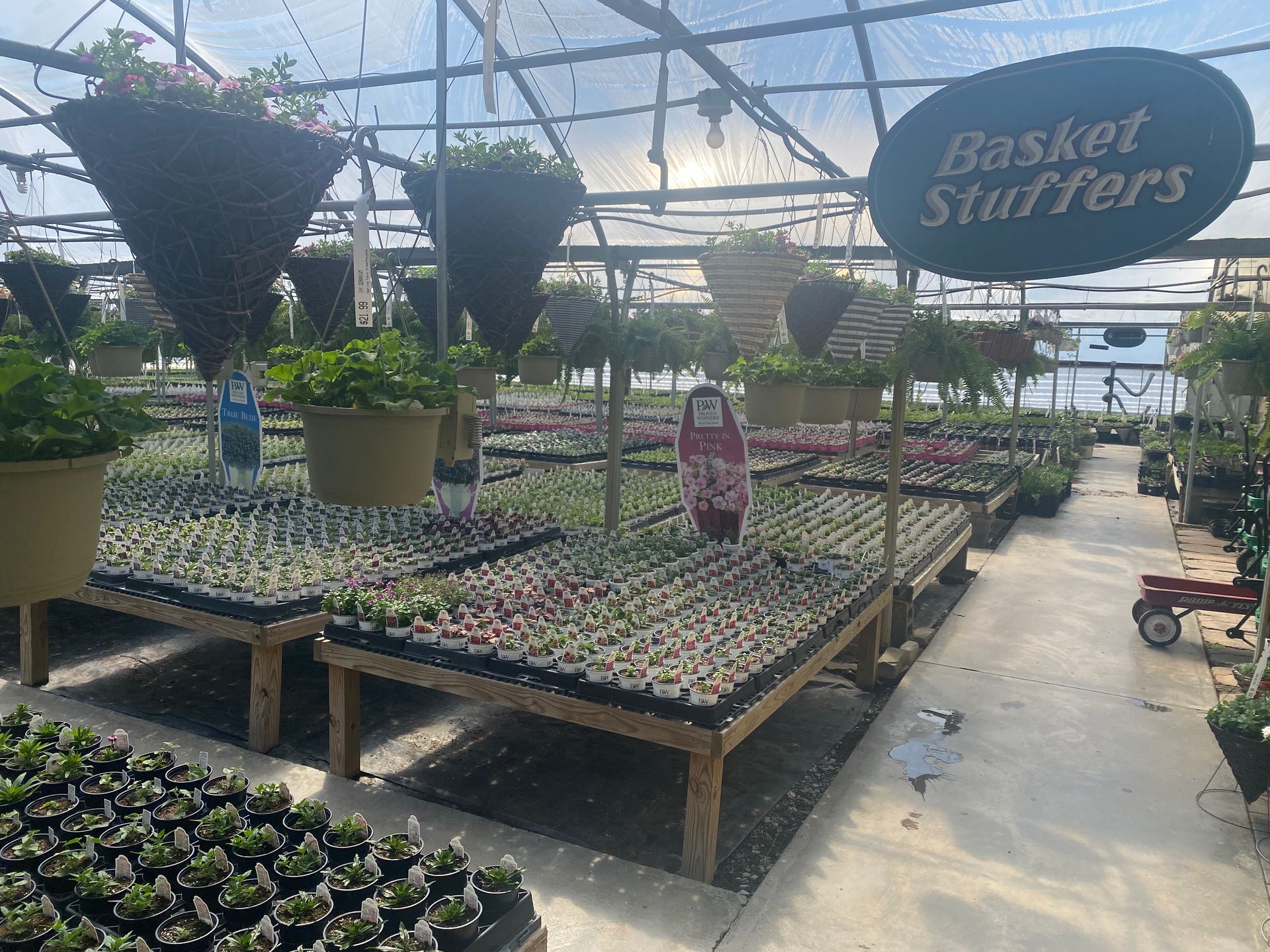 Plant Inventory Gallery Martinsburg, PA