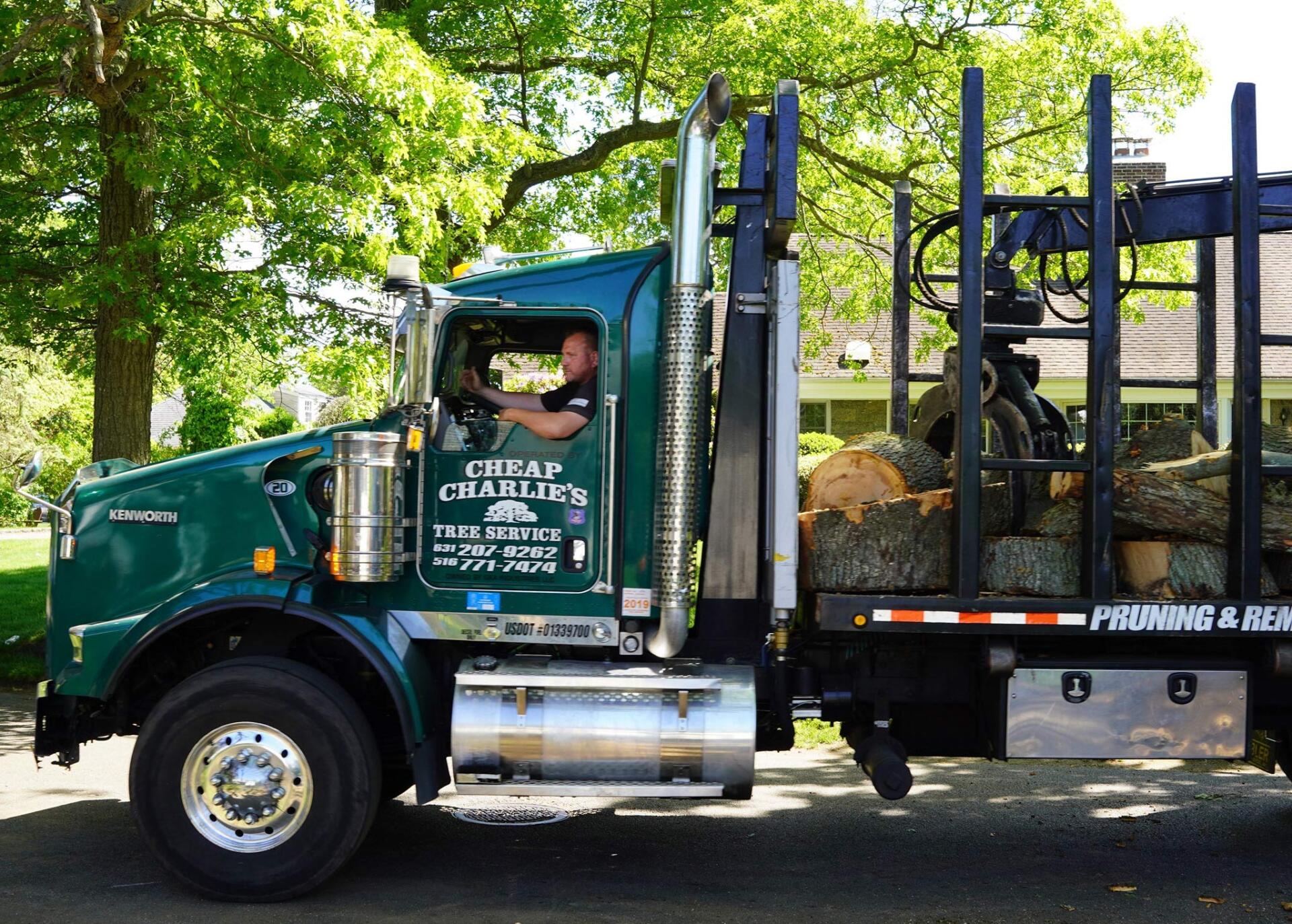 About Cheap Charlie's Tree Service