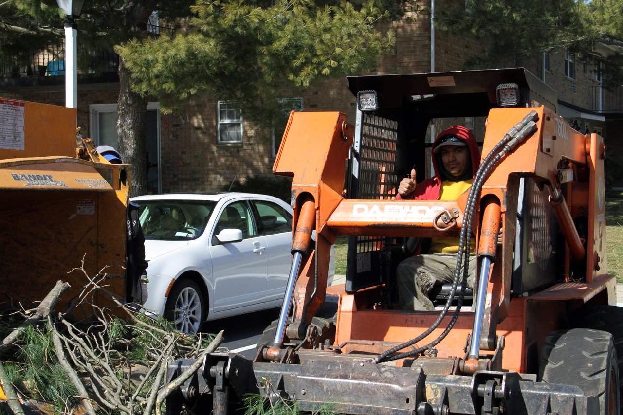Tree Removal Cheap Charlie's Tree Service East Islip, NY