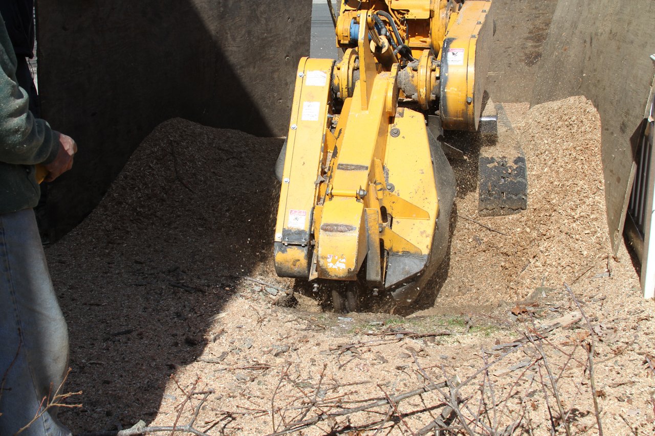 Tree Removal Cheap Charlie's Tree Service East Islip, NY