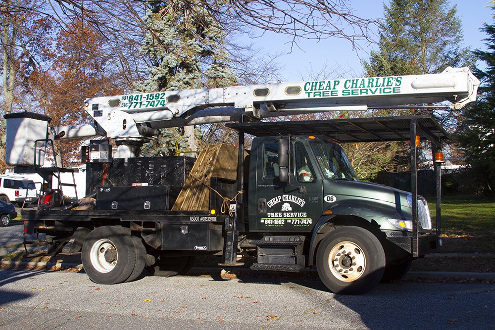 Gallery Cheap Charlie's Tree Service