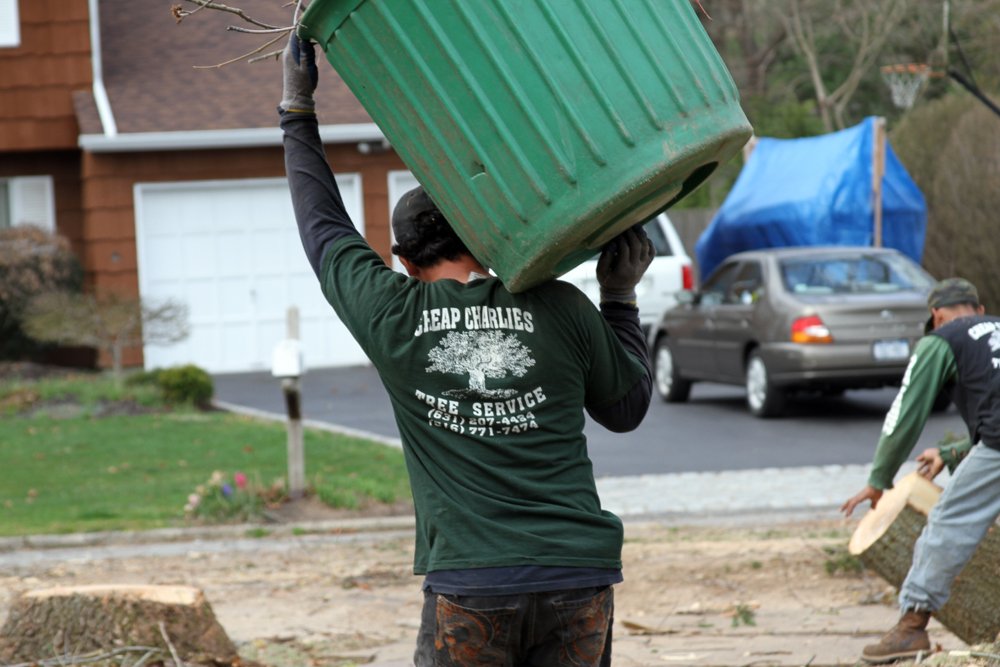 Gallery Cheap Charlie's Tree Service