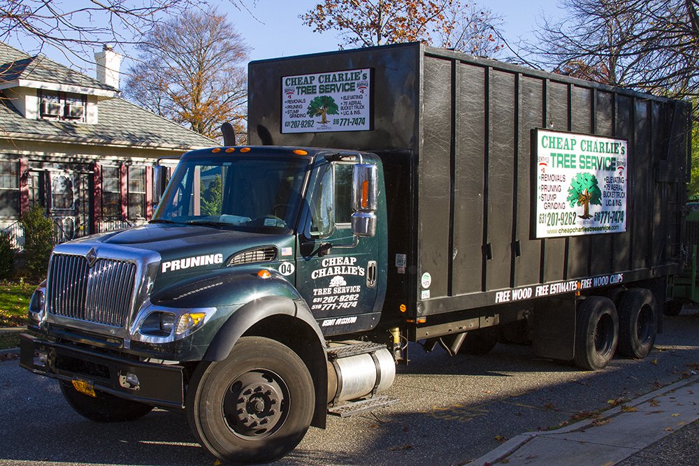 Gallery Cheap Charlie's Tree Service