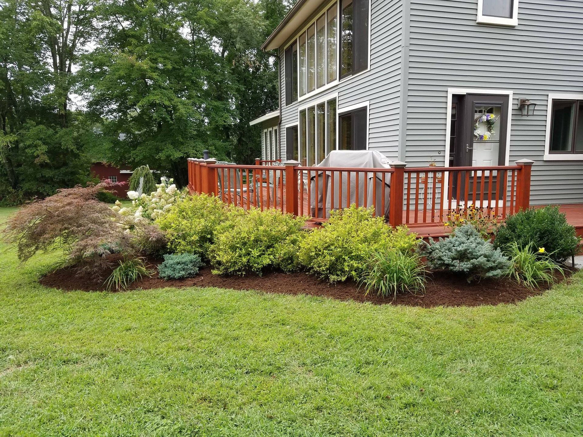 Shrubs and Bushes South Windham, CT