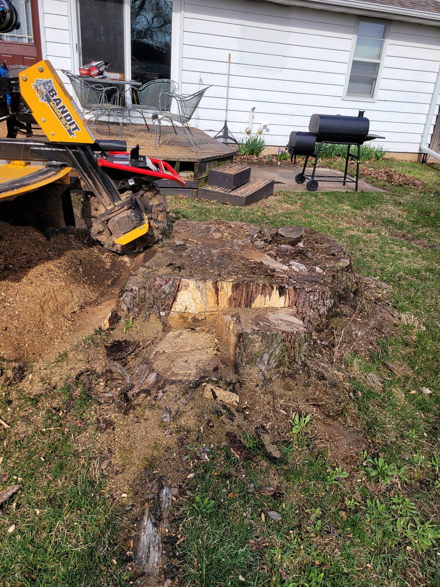 Stump Grinder Appleton, WI