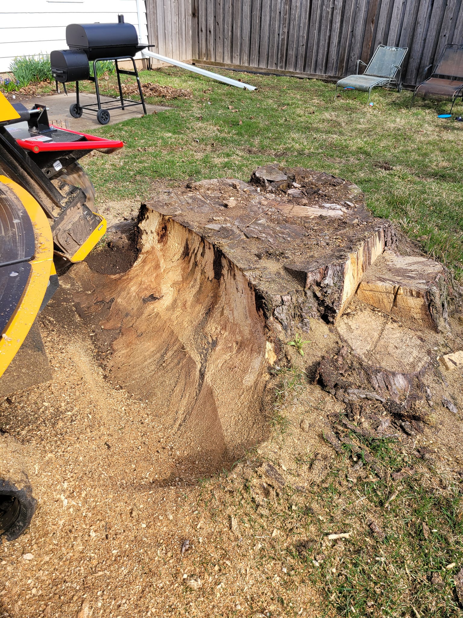 Stump Grinder Appleton, WI