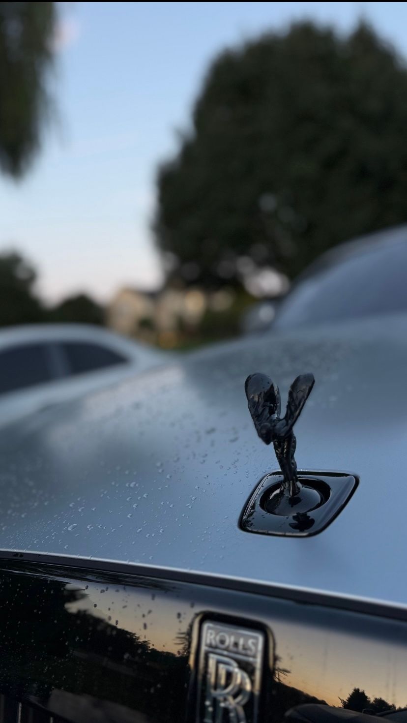 Close-up of a silver Rolls-Royce hood ornament against a blurred outdoor background.