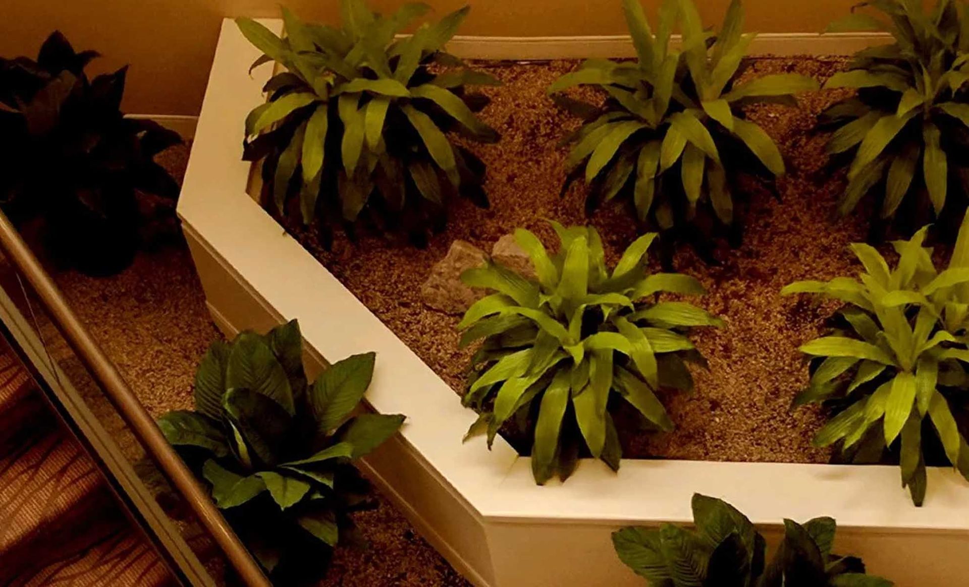 indoor plants fertilizer Organic Indoor Plant Food  Premium Nutrients for Ferns, Pothos & More