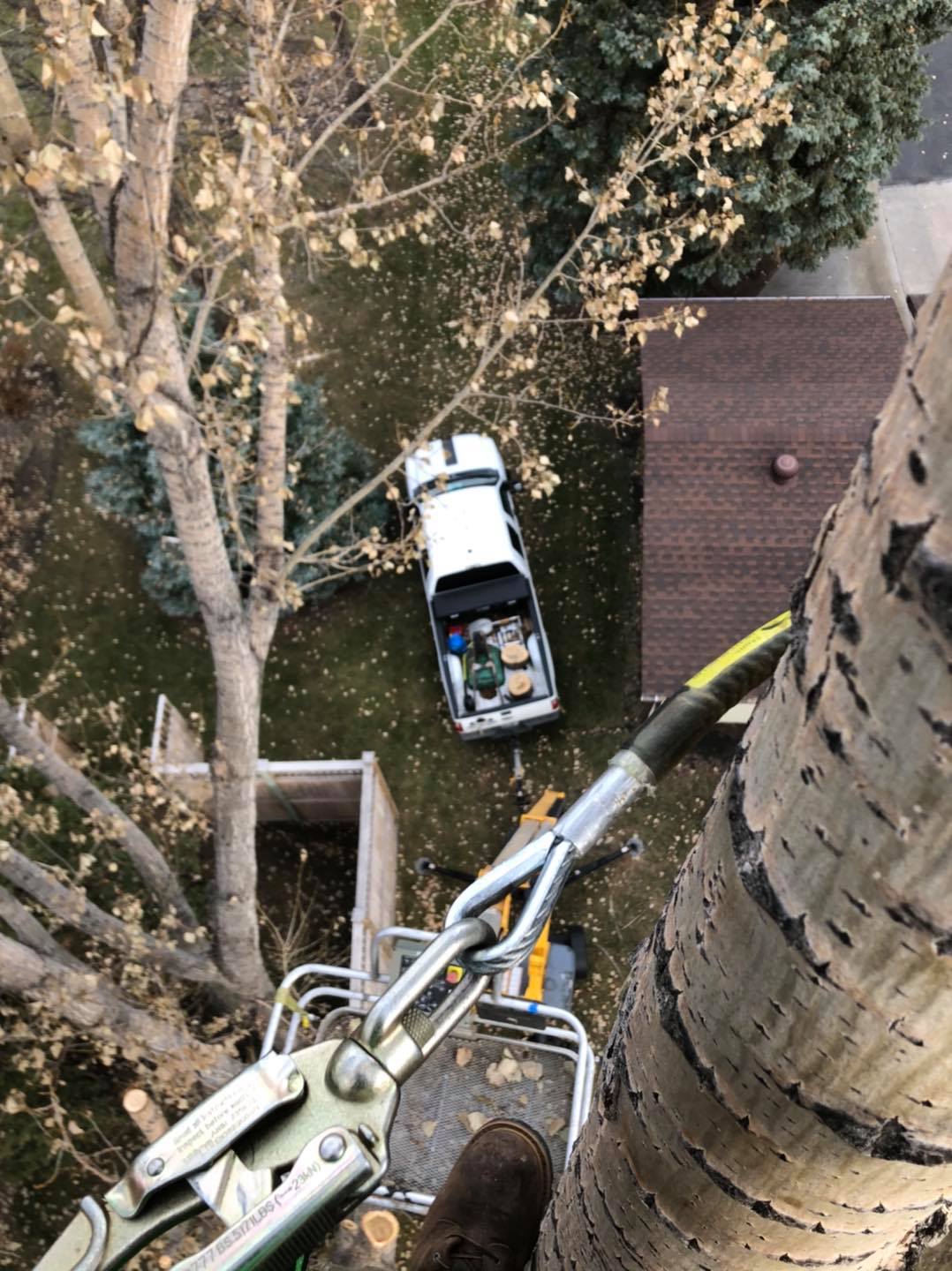 Jake�s Tree Service Gallery Hawley, MN