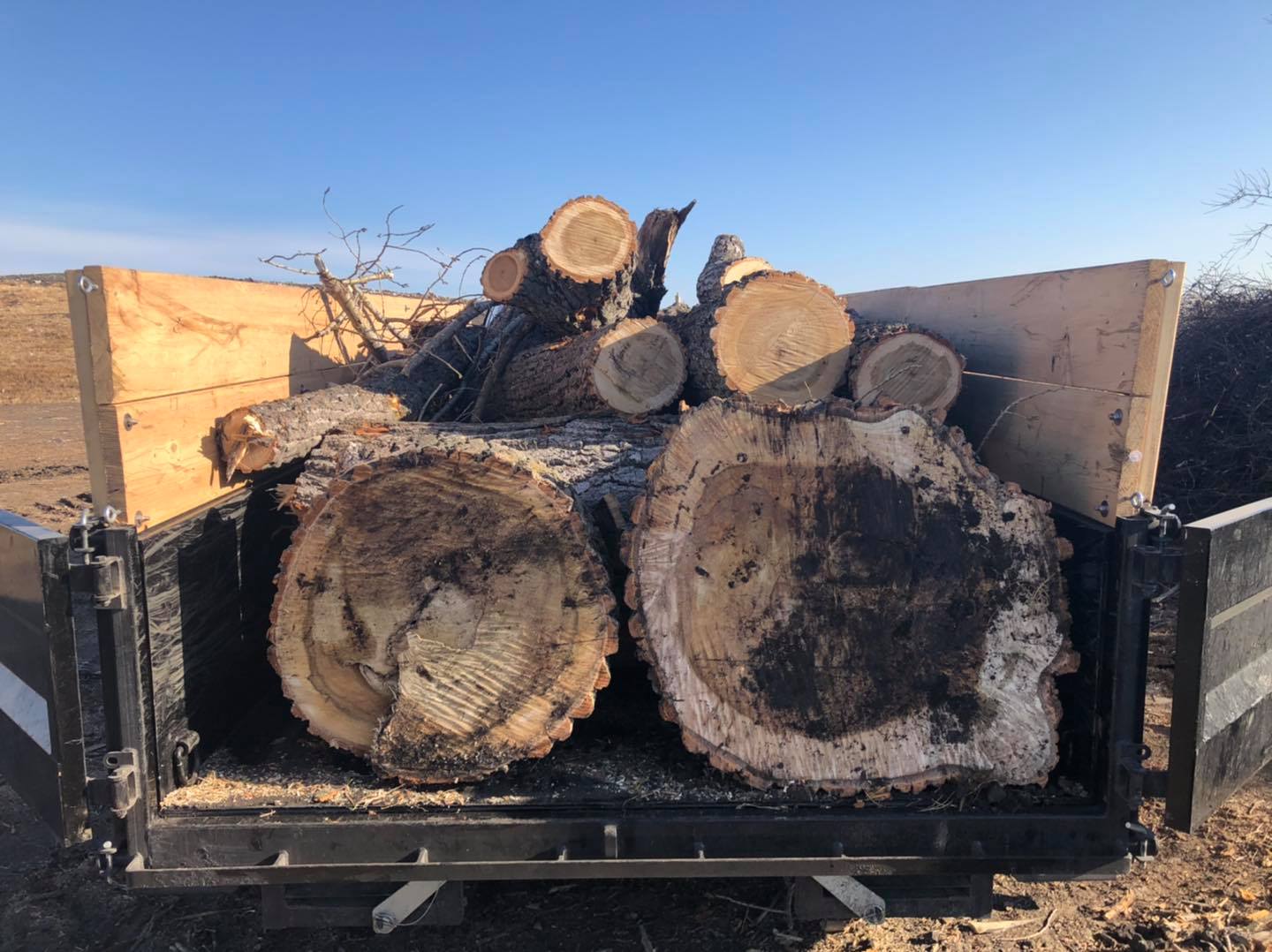 Jake�s Tree Service Gallery Hawley, MN