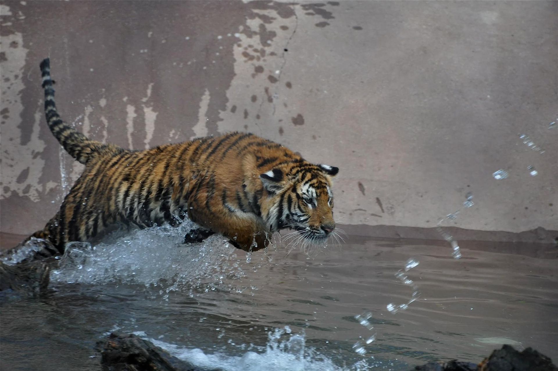 Chahinkapa Zoo Animal Park Wahpeton, ND