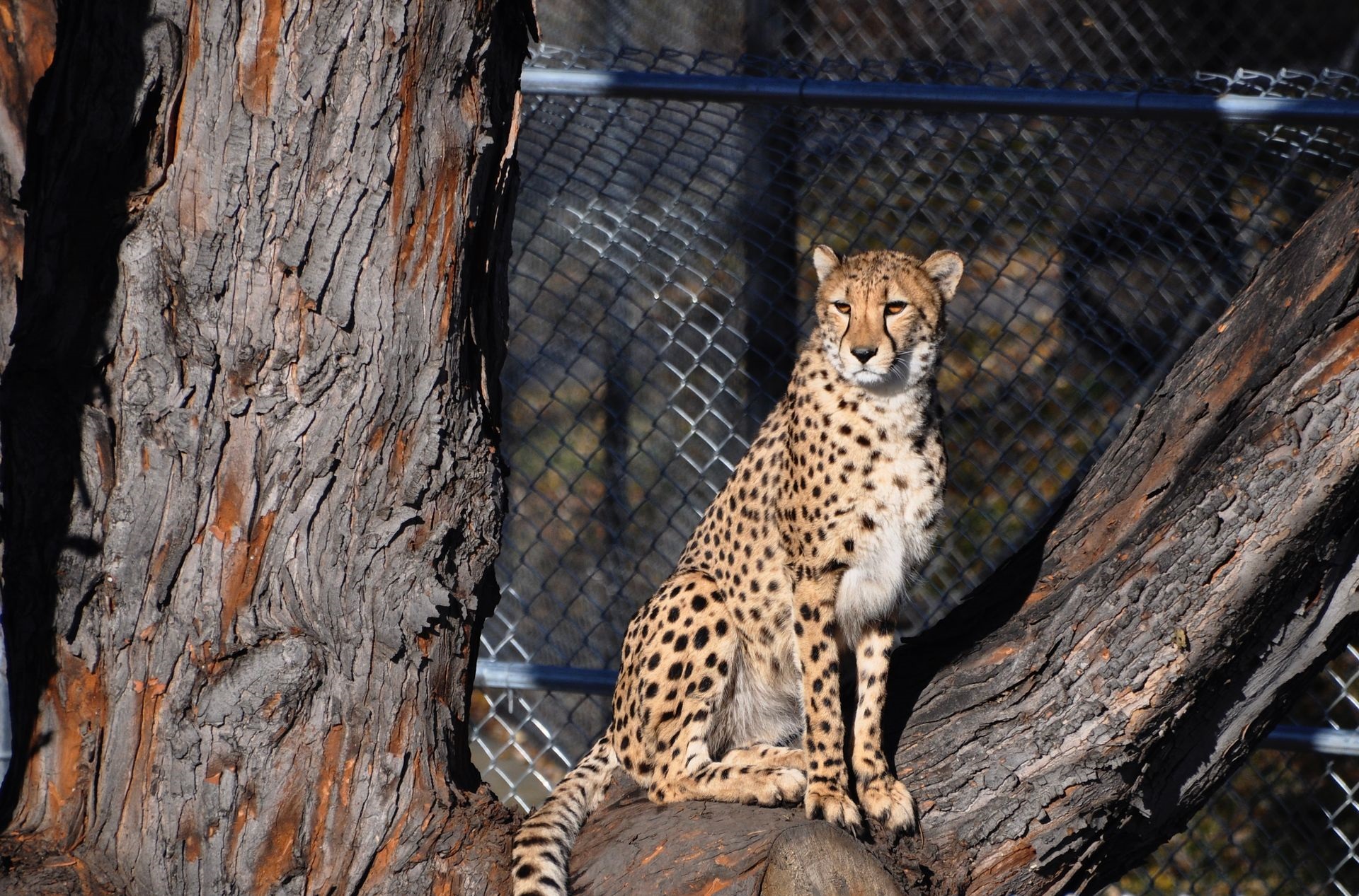 Chahinkapa Zoo Animal Park Wahpeton, ND