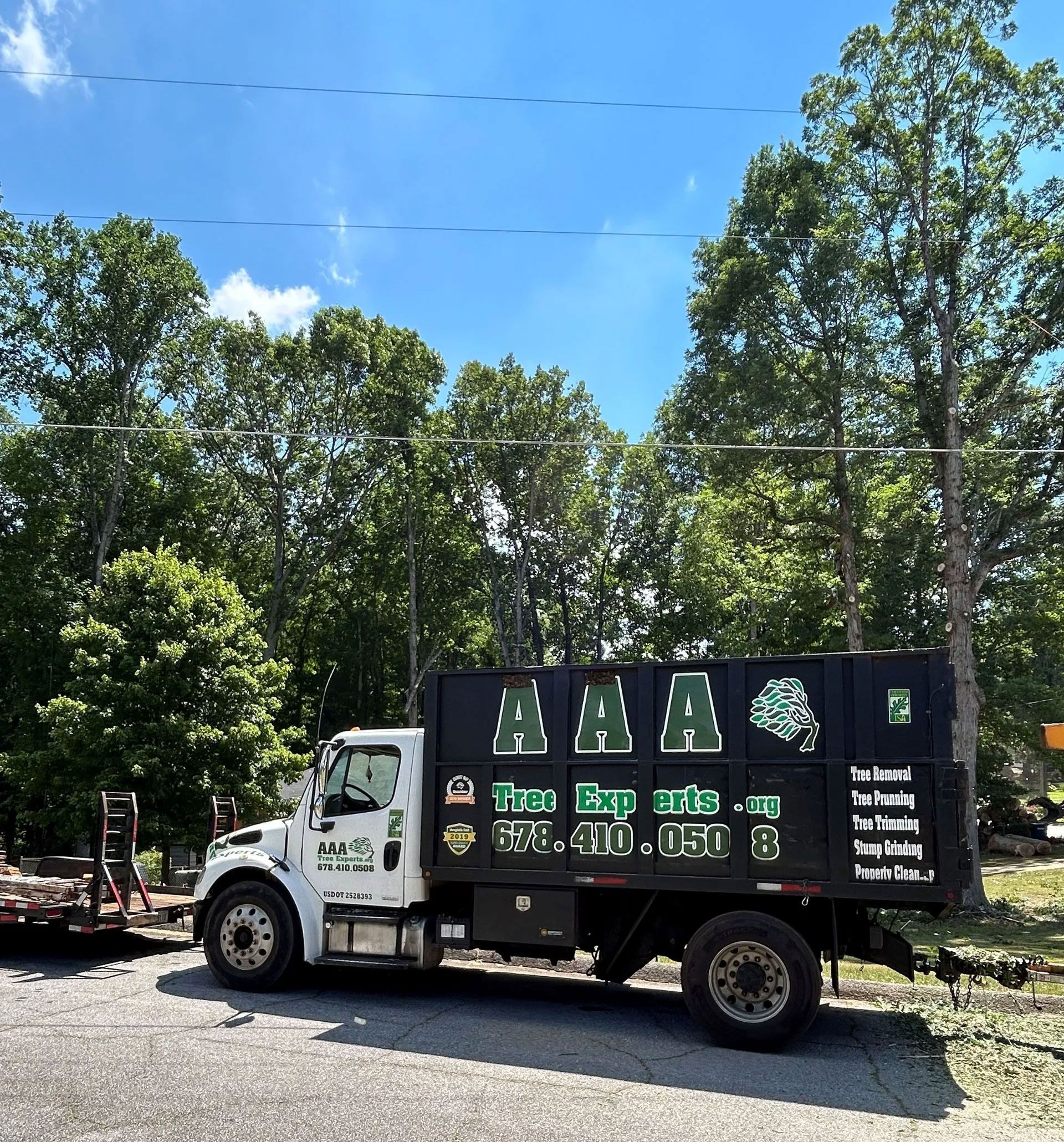 Tree Removal Companies Johns Creek, GA | Roswell, GA