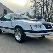 White Ford Mustang with a black hood and silver wheels, parked outside.